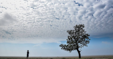 কন্যা সর্বনাশী (পর্ব-১১)