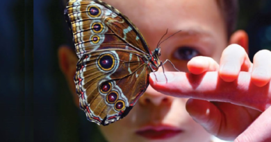 সমাজ ব্যবচ্ছেদঃ প্রেক্ষাপট কিশোর অপরাধ