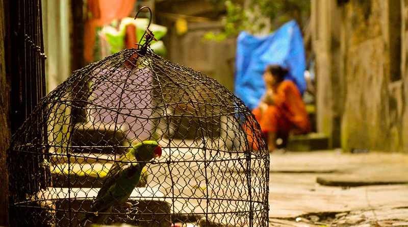 ব্যাভিচার ও তওবা