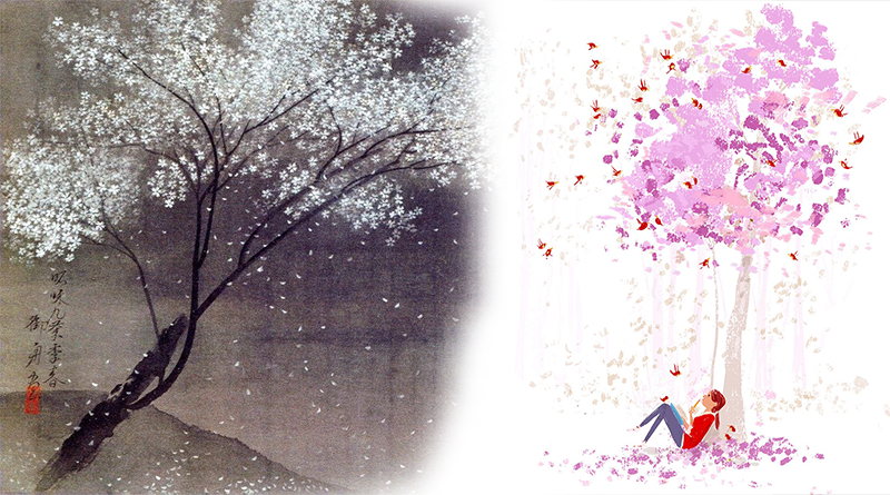 ক্যামেলিয়া